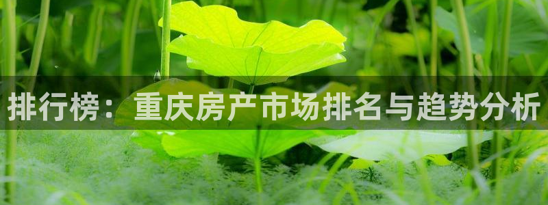 新宝5开户(新宝官方网页入口)